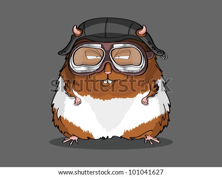 Hamster Helmet