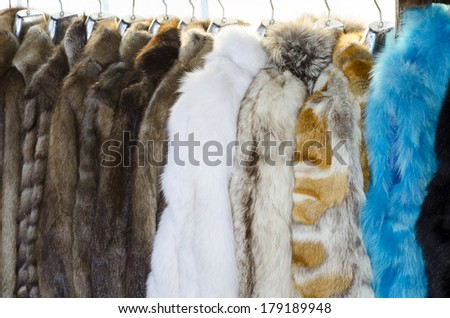 Real genuine animal fur coats