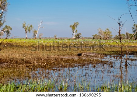 Wild nature near Kakadu National Park, Australia