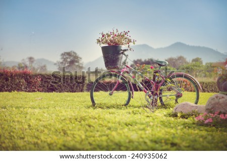 mountain Landscape and a standing bicycle flowers retro.