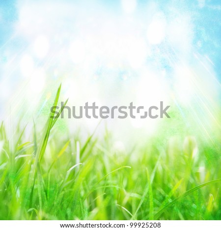 image from outdoor background series (sky and grass)