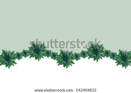 Green daisy border with white and green background