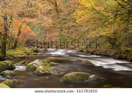 The river Dart in autumn Dartmoor national park devon Uk
