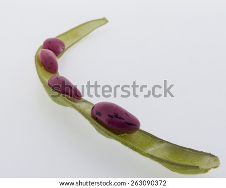 climbing beans, fire beans on white background, high nutritional value