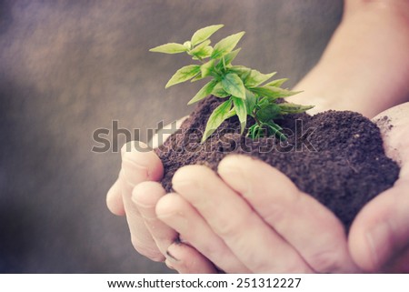 hand and plant