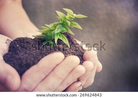 hand and plant