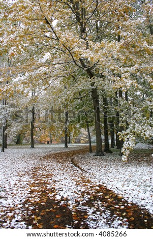 Park drive after early snowfall in Michigan.