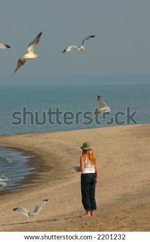 beach feeding