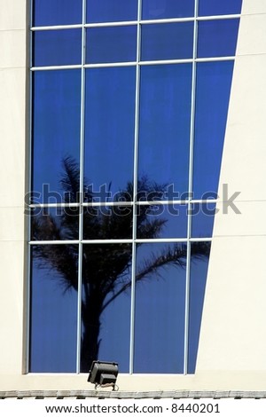 One way glass windows on the facade of an office block with the reflection of a palm tree