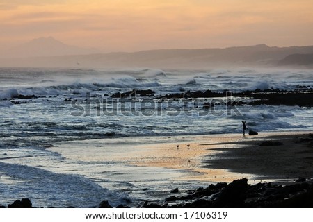 Beautiful coastal sunset, waves, rocks and silhouetted person