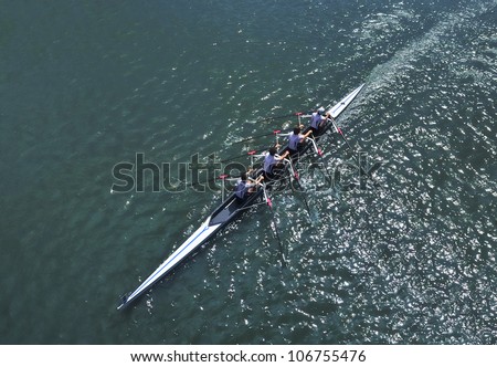 Four young sportsmen rowing  on a sunny day