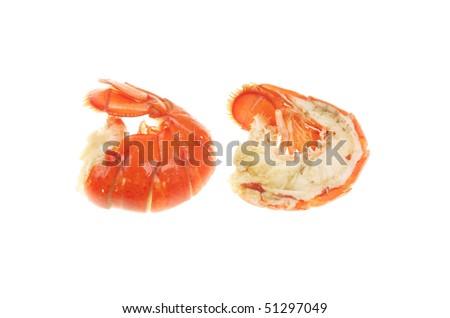 Split Lobster