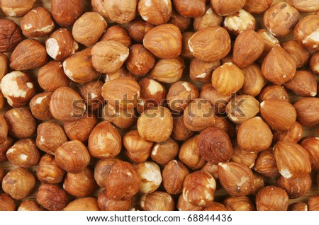 Shelled hazel nuts as a background and texture