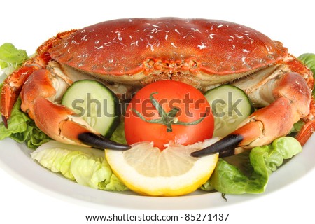 Closeup of a whole cooked brown crab on a bed of salad