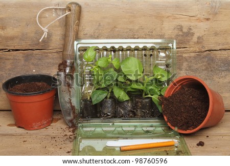 Plug plants in a plastic container with pots a garden trowel and labels on a wooden potting bench