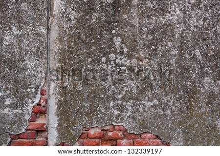 Super-grungy old exterior wall stained with fungus and moss. Broken plaster reveals a few layers of red bricks.