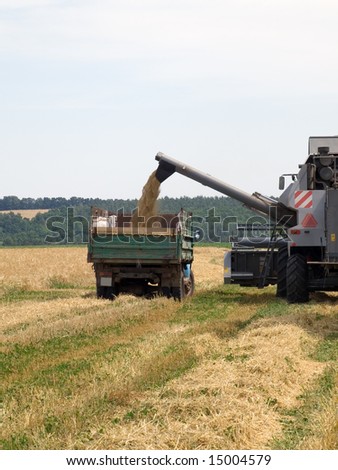 Truck taking the grain from the harvester