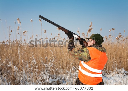 Hunter aiming at the prey. General winter pheasant open season hunting scene