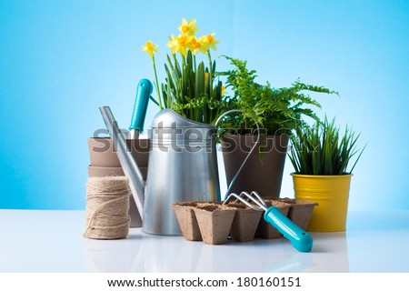Garden equipment with green plant over blue background