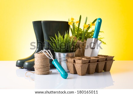 Garden equipment (boots, shovel, rake, peat pot) and beautiful daffodils  over yellow background