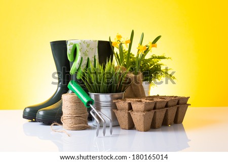 Garden tools and accessories  (boots, gloves, rake, peat pot) and beautiful daffodils over yellow background