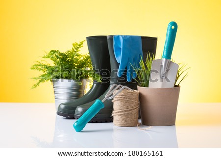 Garden tools and accessories and a plant over yellow background