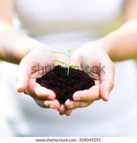 caring Human hands holding green small plant new life concept.