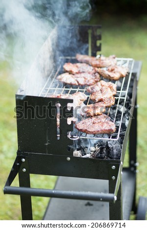bbq grill - garden party