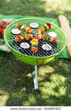 Tasty skewers and vegetables grilling over the hot glowing coals in a portable green barbecue standing on a green lawn with copy space during a picnic or summer camping trip