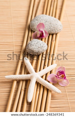 Spa, wellness concept on bamboo background