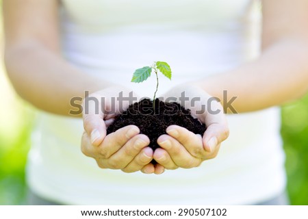 Woman hands with a green sprout on white background