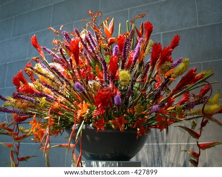 colorful mix of flowers display
