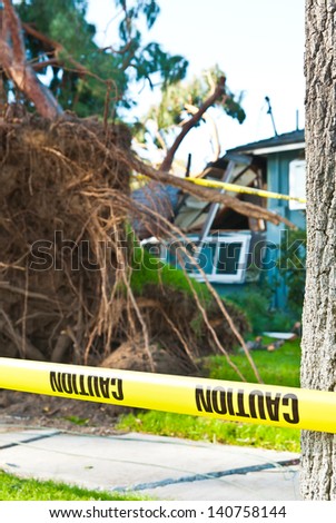 Old huge tree crashes into home due to storm. I hope they have good home insurance.