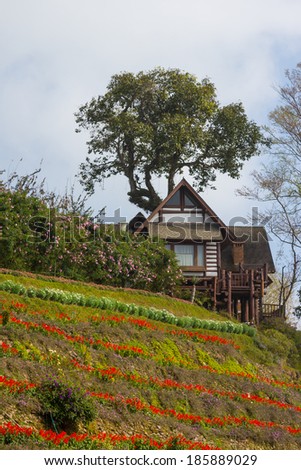 Wooden house on a hill in nature