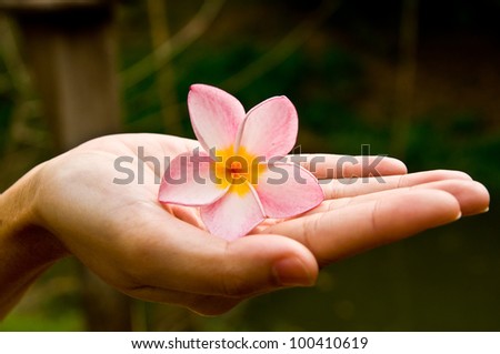 Flower In Hand