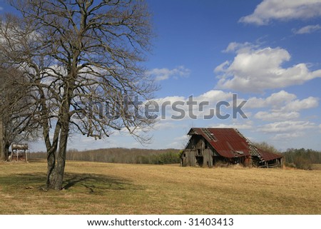 Barn and tree in rural Tennessee Near Jacskson  Tennessee