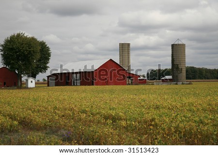 Soy field , barn and silo  in Rural Ohio