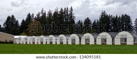 rows of Greenhouses in the Oregon Willamette Valley