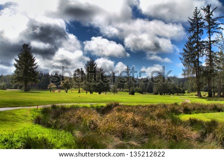 Golf on the Oregon Coast , a well kept Secret . Forest Hills Country Club in Reed sport