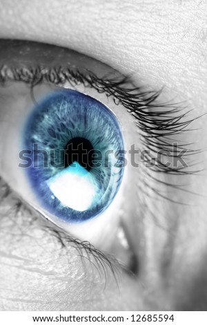 Bright blue eye closeup