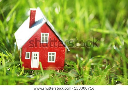 Tiny red house in green grass
