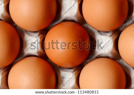 Chicken eggs on tray in supermarket.