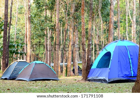 Big dome and camping tents underneath big trees in national park.