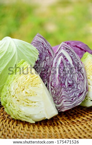 Cut organic green and purple cabbage in closed-up on natural green background.