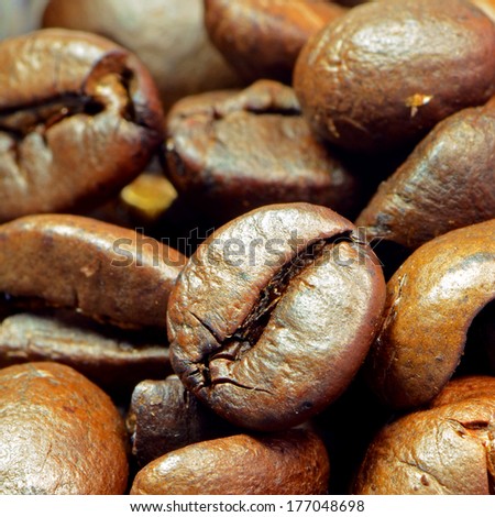 Roasted coffee beans prepared to make a very good coffee drink shot. A best coffee come from Brazil.