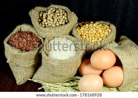 Organic products of soy bean, corn, eggs, coarse rice and white rice in burlap sac on dark background.