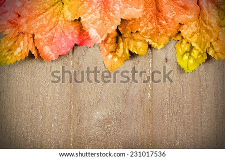 Old wood and Autumn Maple Leaves Background.