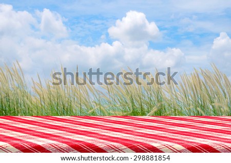Outdoor Picnic Background with Picnic Table.