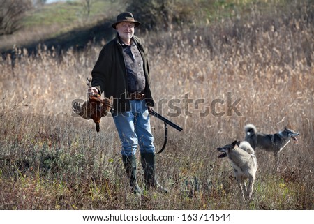 Hunter with a gun, wildfowl and dogs after successful shot