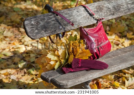 Fashionable fall composition. Stylish burgundy shoulder bag and gloves of same color on the bench in sunny autumn park